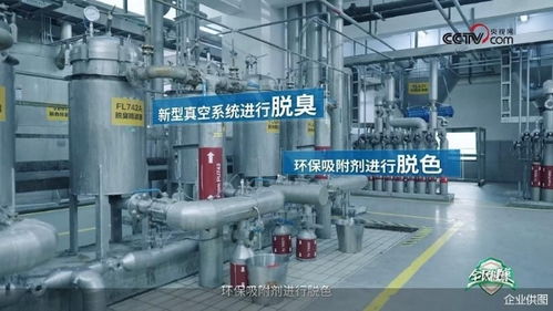 央視網走進多力安心工廠 探尋降低油煙技術專利奧秘，見證健康廚房技術推廣