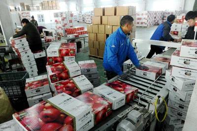 國(guó)家林草局組織產(chǎn)銷對(duì)接助力林業(yè)復(fù)產(chǎn)復(fù)工，暢通產(chǎn)品銷售渠道