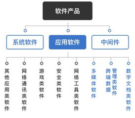 2017年中國(guó)軟件和信息技術(shù)服務(wù)行業(yè)監(jiān)管及主要政策法規(guī)分析